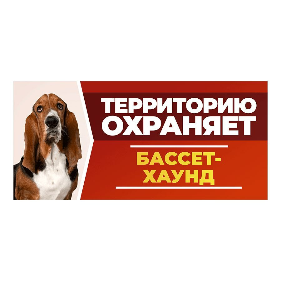 Табличка, DANGER DOG, Бассет-хаунд, на забор, 30см х 14см #1