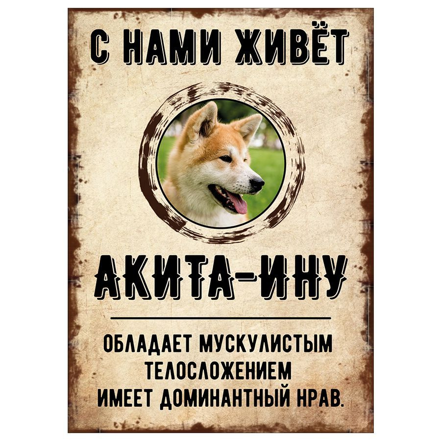 Табличка, декоративная, DANGER DOG, С нами живет Акита-ину, 18см х 25см  #1