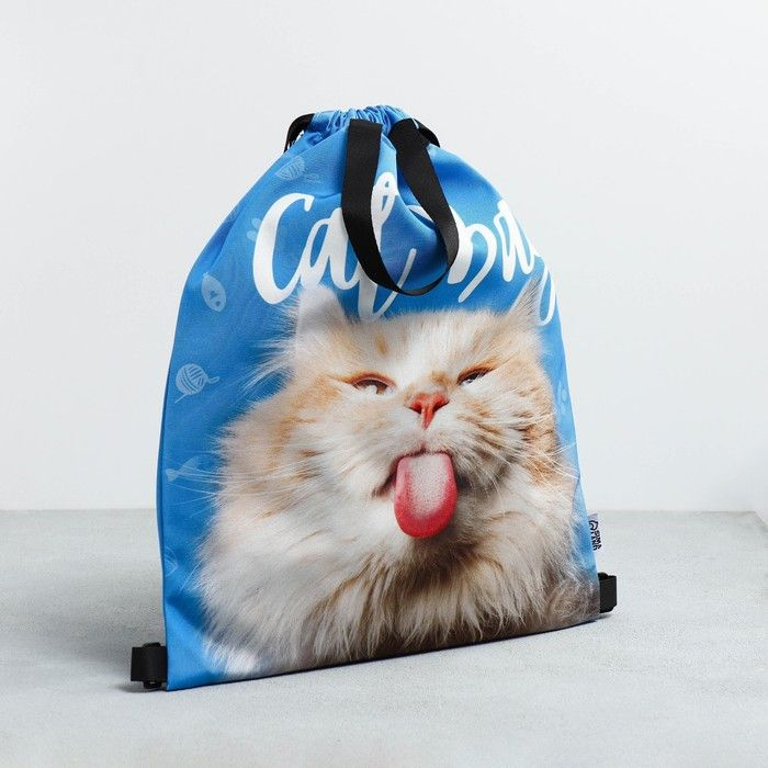 Мешок школьный для сменной обуви и спортивной формы "Cat Bag" с двумя видами ручек, сумка для сменки, #1