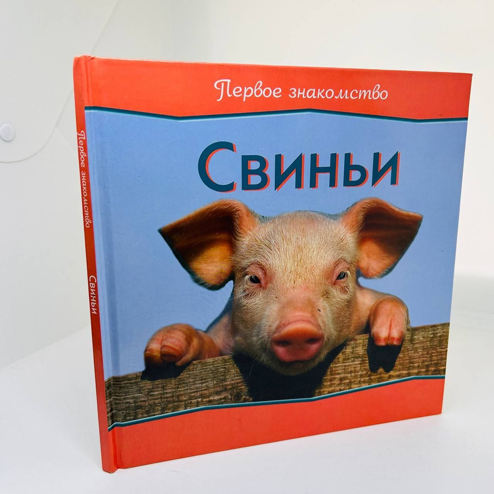 Свиньи