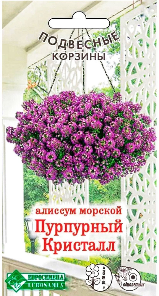 Алиссум морской ПУРПУРНЫЙ КРИСТАЛЛ, 1 пакет, семена 0,02 гр, Евросемена  #1