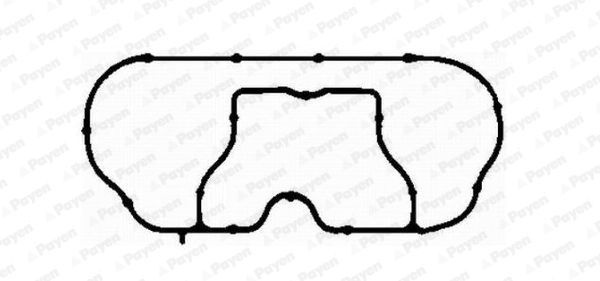 PAYEN Прокладка впускного коллектора, арт. JD5220, 1 шт. #1