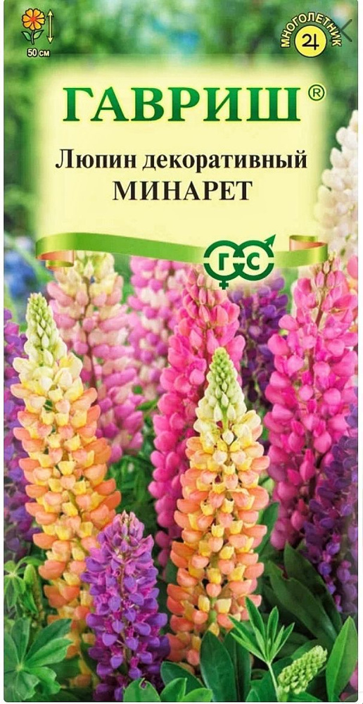 Люпин низкорослый Минарет (смесь), 1 пакет, семена 0,5 гр, Гавриш  #1