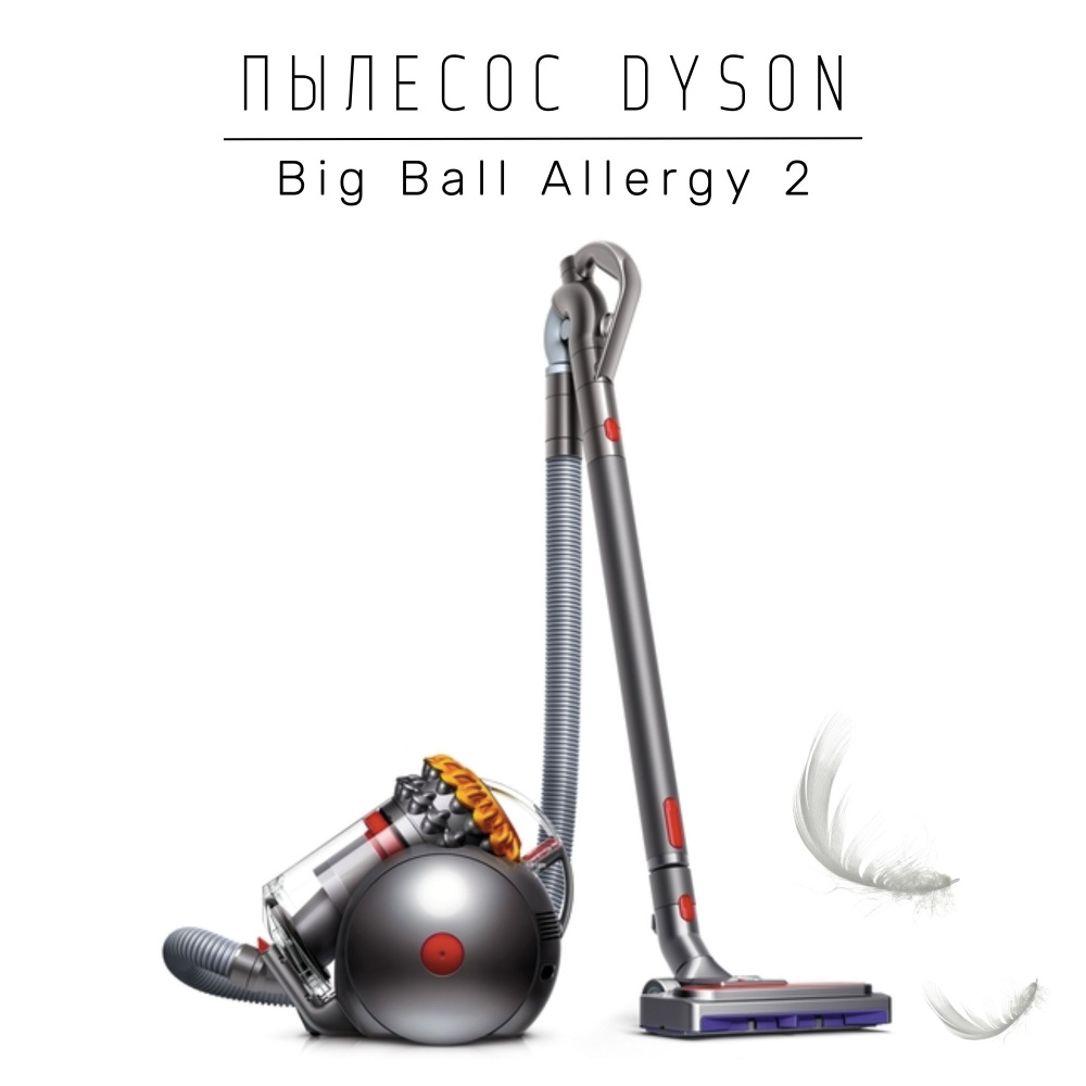 Dyson cinetic big ball animalpro