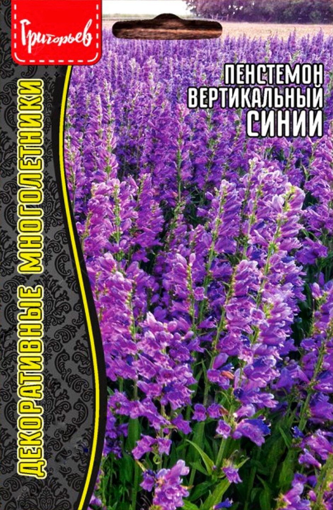 Пенстемон вертикаль Penstemon strictus (blue), семена 0,1г, 1 пакет, ЧК  #1