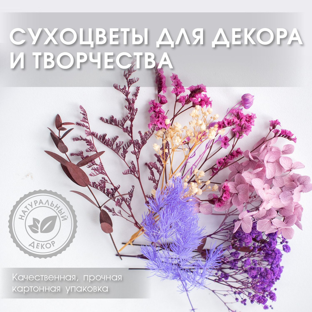 ENiNE decor Сухоцветы Гортензия, Гипсофила, 10 см, 10 гр #1