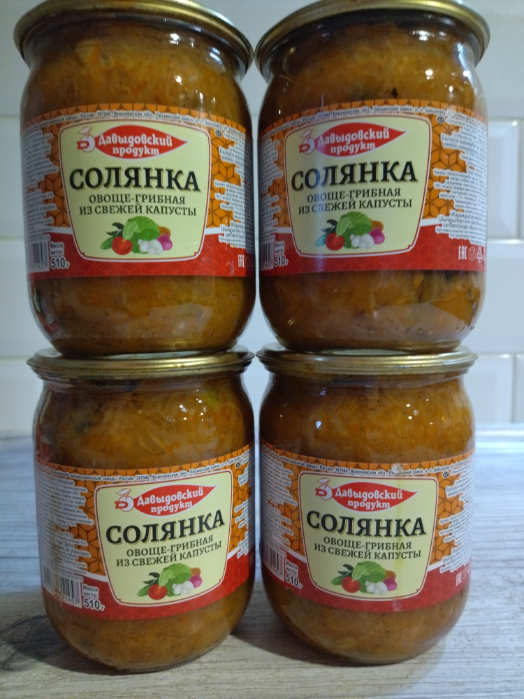 Солянка овоще-грибная из свежей капусты 510 г 4 шт Давыдовский продукт  #1