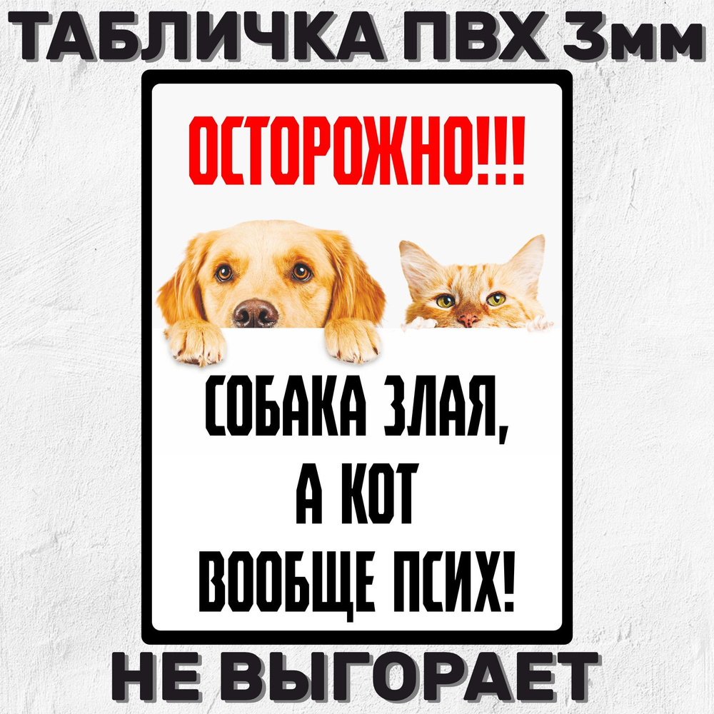 Табличка информационная Осторожно злая собака, а кот вообще псих 30х23 см  #1