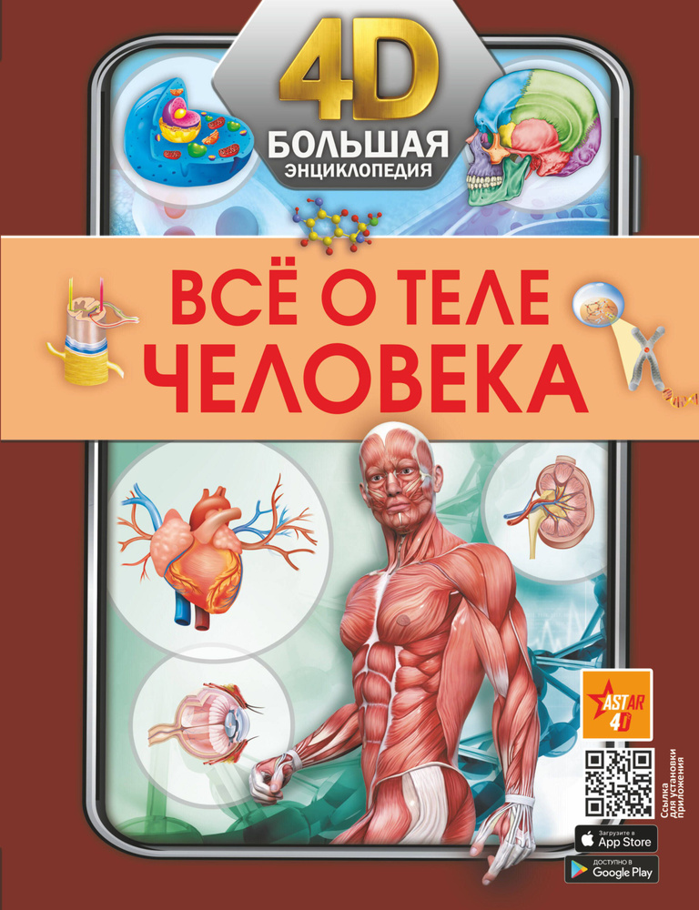 Всё о теле человека #1