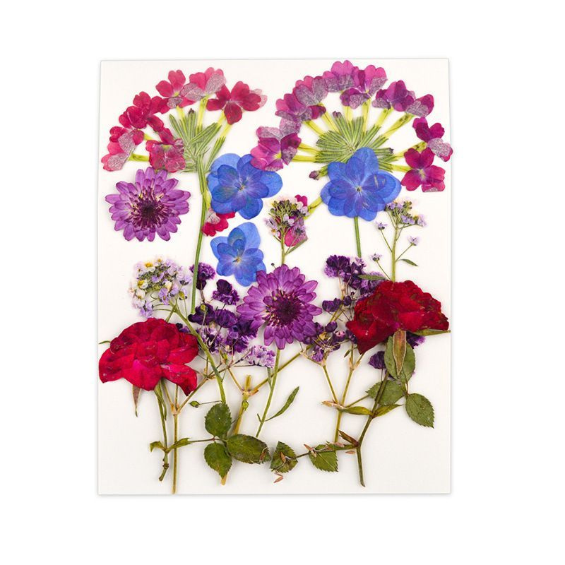 Набор натуральных сухоцветов для творчества, декора, 15 шт.130*105 мм / сухоцветы для изготовления украшений #1