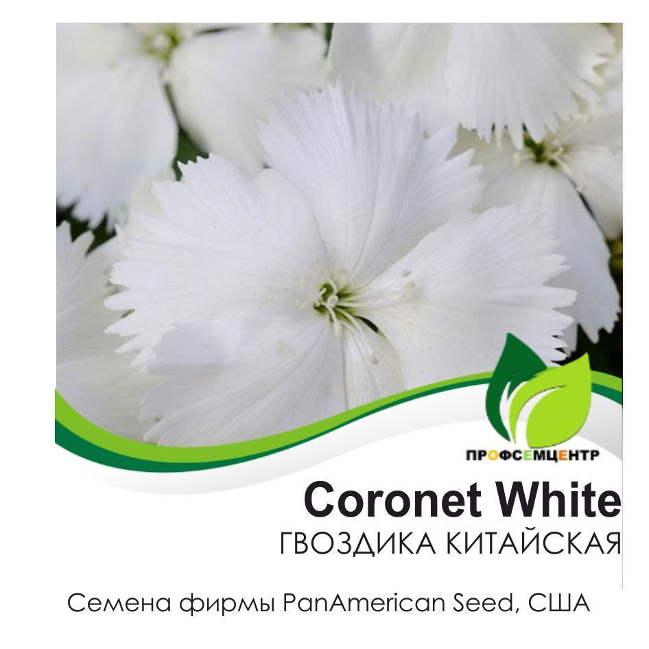 Гвоздика китайская Coronet White, семена, 5 шт. (фасовка) #1