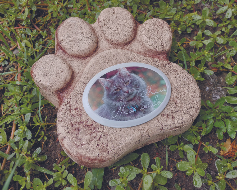 Памятник для животных - купить с доставкой по выгодным ценам в интернет ...