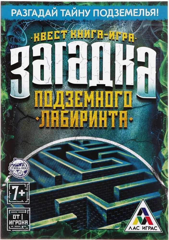 Настольная игра "Книга-квест. Загадка подземного лабиринта" для детей, развивающие задания и логические #1