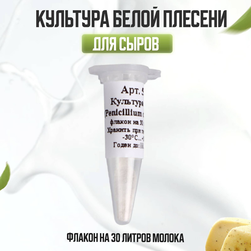 Культура белой плесени Penicillium candidum на 30 л молока #1