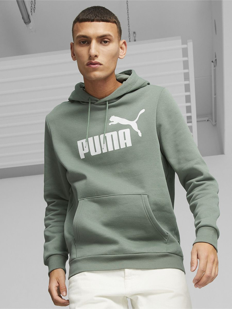 Худи PUMA ESS Big Logo Hoodie FL (s) #1