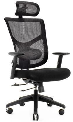 Кресло Expert STAR OFFICE ERGO STE-MF01S Т-01 ( 3D поясница, 4D подголовник, черный / каркас черн)  #1