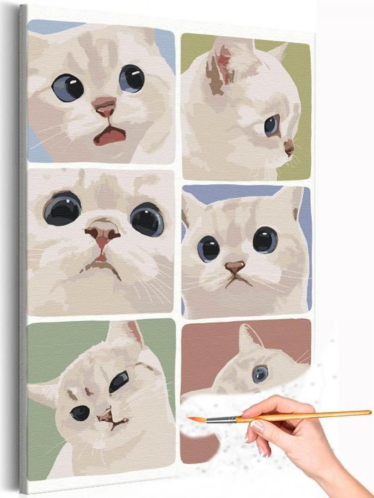 Картина по номерам 'Эмоции белого котика Мем Кот 40х60' #1