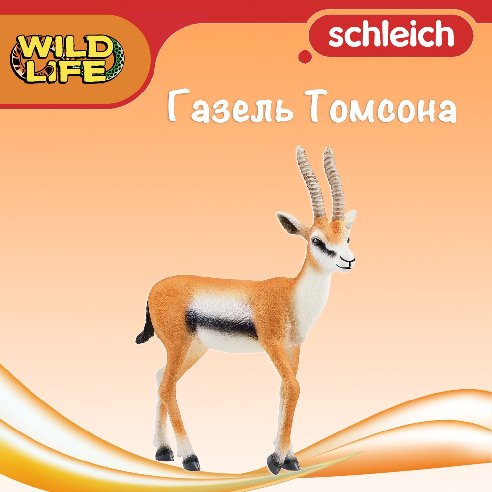 Фигурка "Газель Томсона" Schleich Wild Life/ для детей от 3 лет/ Шляйх 14861  #1