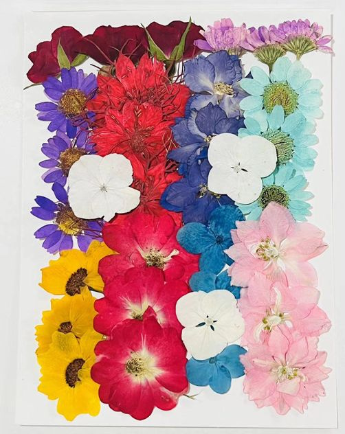 Набор натуральных сухоцветов для творчества, декора, 33 шт., размер набора - 18*13 см/ сухоцветы для #1