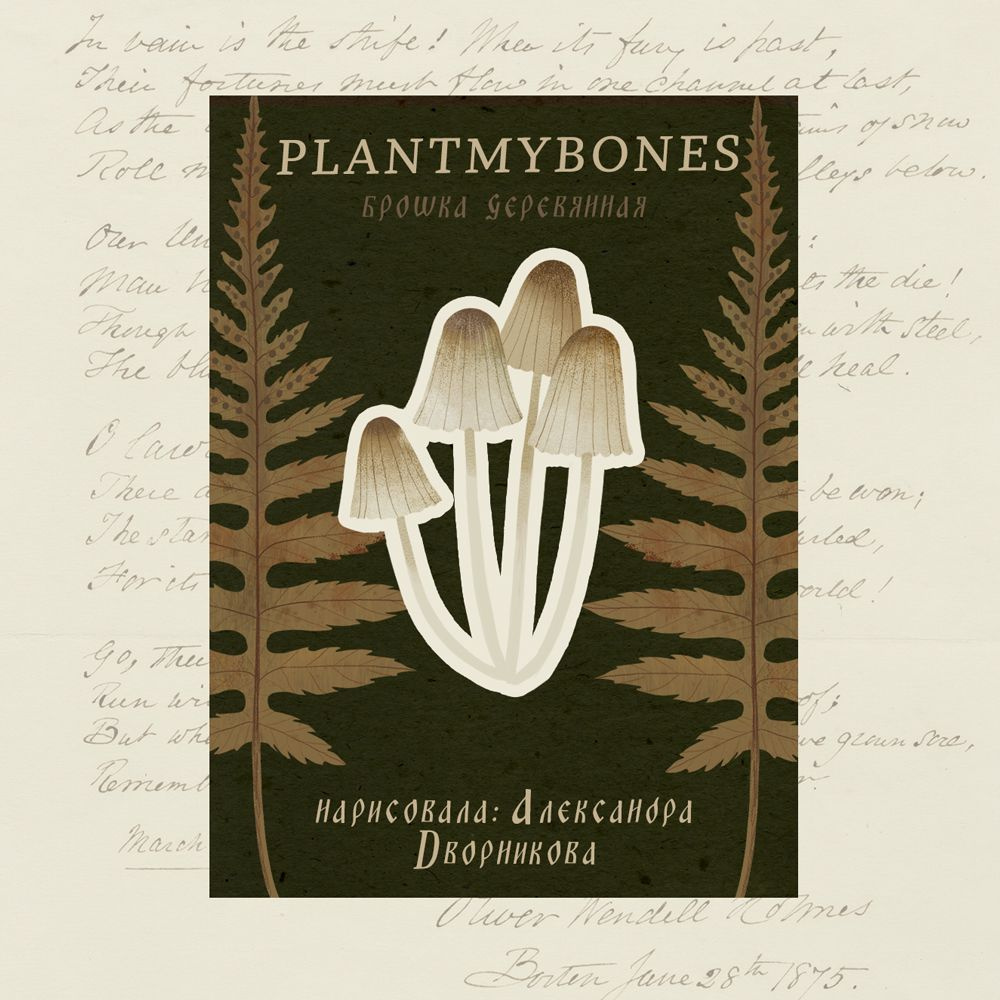 Деревянная брошь PlantMyBones, значок из дерева на замке-булавке с грибами: Мицены  #1