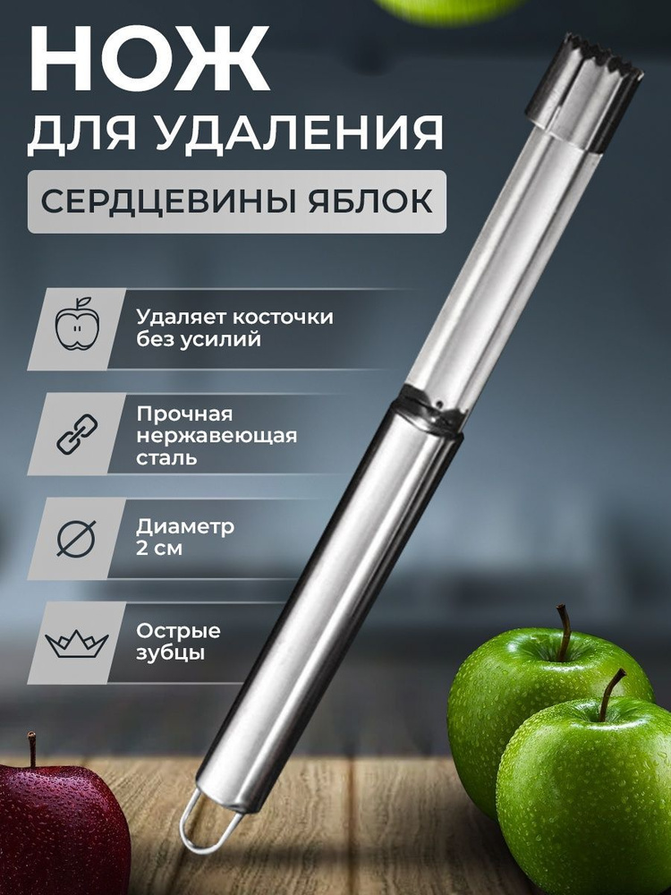 Dictionary of Spoken Russian/English-Russian - Wikisource, the free online library