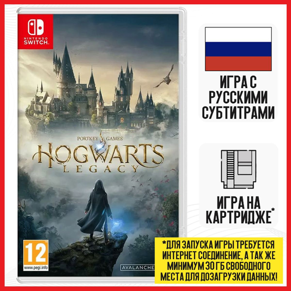 Игра Hogwarts Legacy (Nintendo Switch, Русские субтитры) купить по низкой  цене с доставкой в интернет-магазине OZON (1305765255)