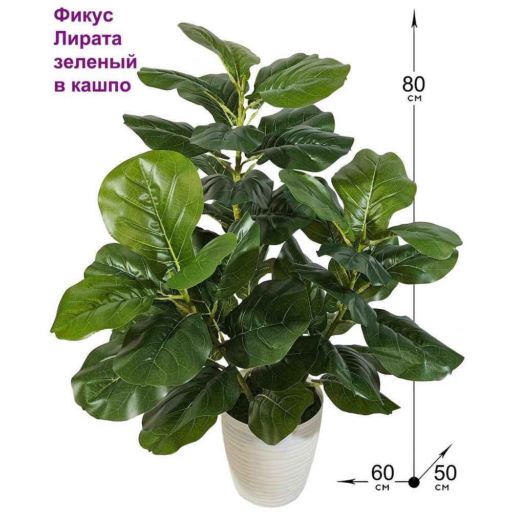 Купить Искусственное растение Фикус Лирата зеленый в кашпо, ФитоПарк по ...