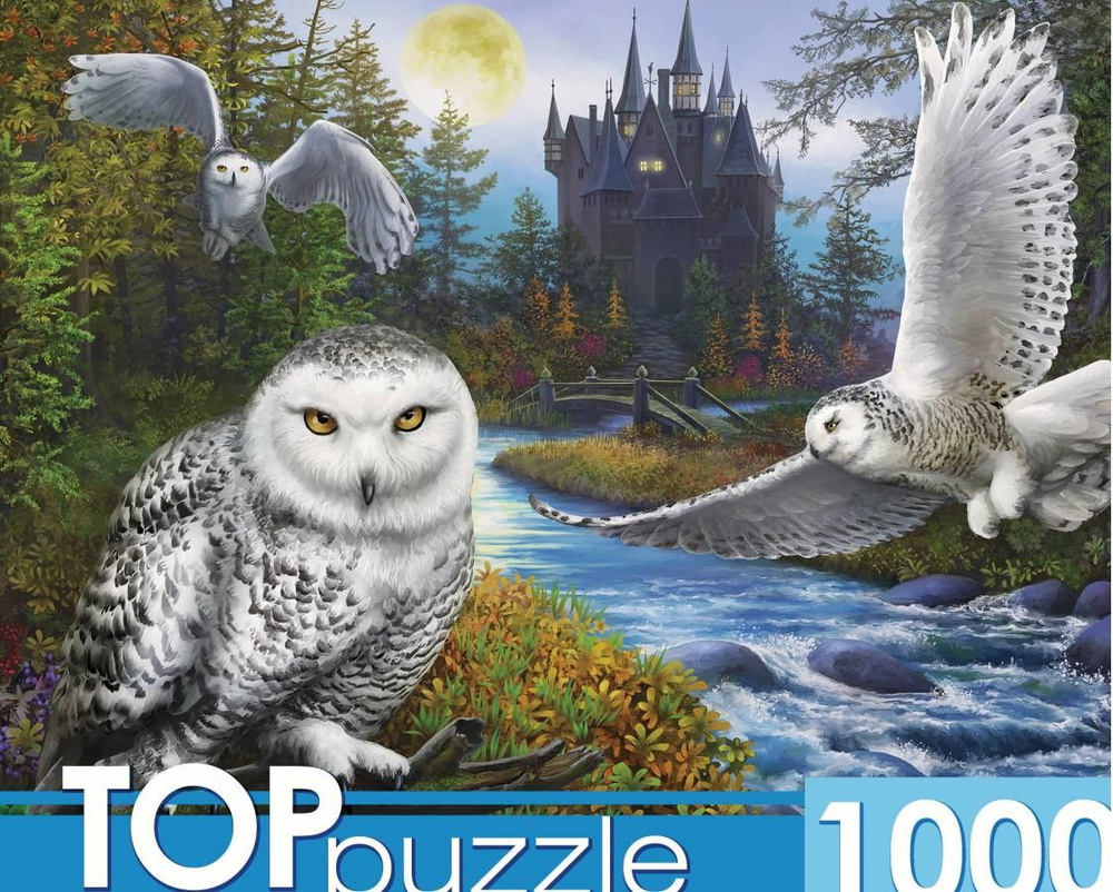 Пазл для взрослых TOP Puzzle 1000 деталей, элементов: Магическая сова и замок  #1