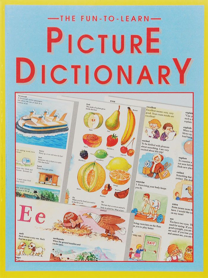 The fun to learn: Picture Dictionary | McKie Anne #1