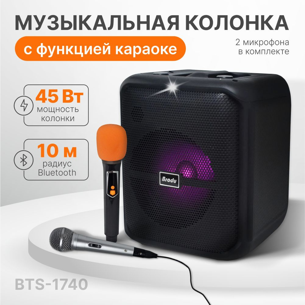 Колонка Портативная Bluetooth Brodu BTS-1740 Беспроводная Колонка Караоке Блютуз с двумя микрофонами #1