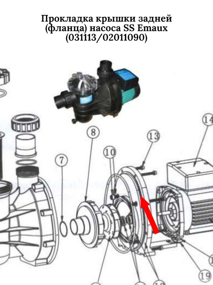 Прокладка крышки задней (фланца) насоса SS Emaux (031113/02011090) #1