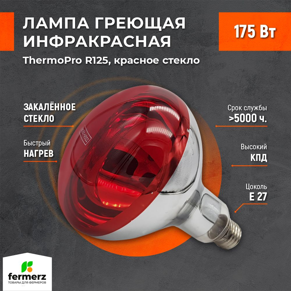 Лампа для обогрева ThermoPro R125 175W Цоколь E27 красное стекло для цыплят, курятников, террариумов #1