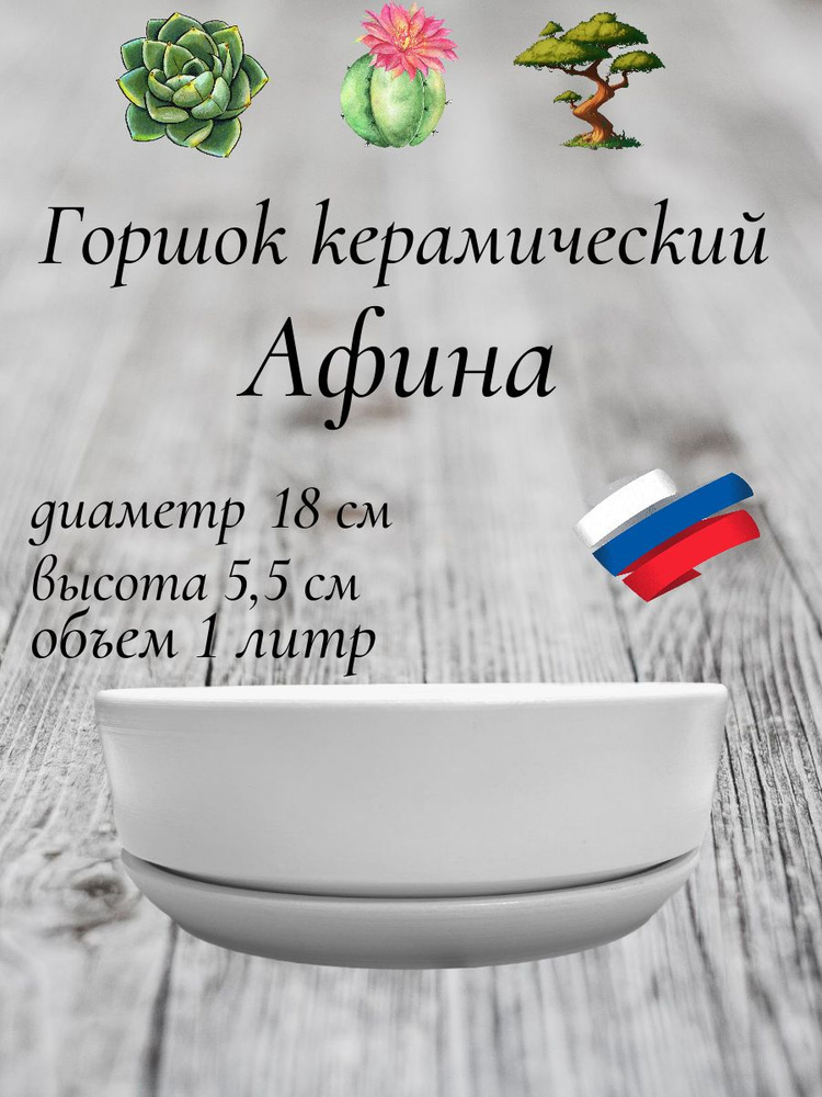 Керамический горшок "Бонсай - Афина" для бонсай, кактусов и суккулентов, диаметр 18 см, высота 5,5 см, #1