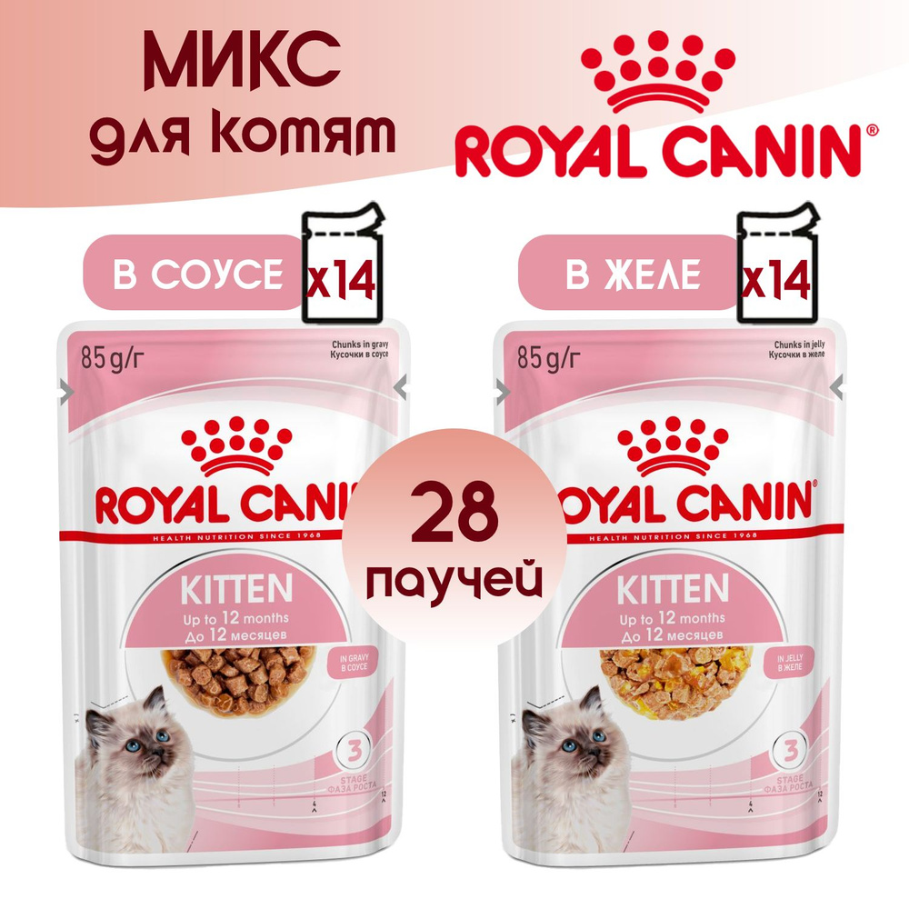 Влажный корм Royal Canin Kitten в желе, в соусе, 85 г х 28 шт #1