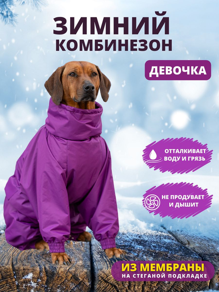 Комбинезон зимний для собак крупных пород SNOW, 70ж (сука), фиолетовый, 7XL  #1