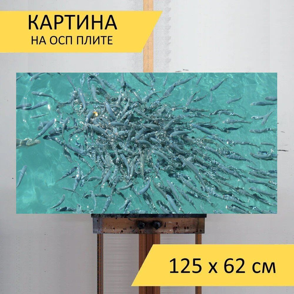 LotsPrints Картина "Рыбы, кормление, море 54", 125  х 62 см #1