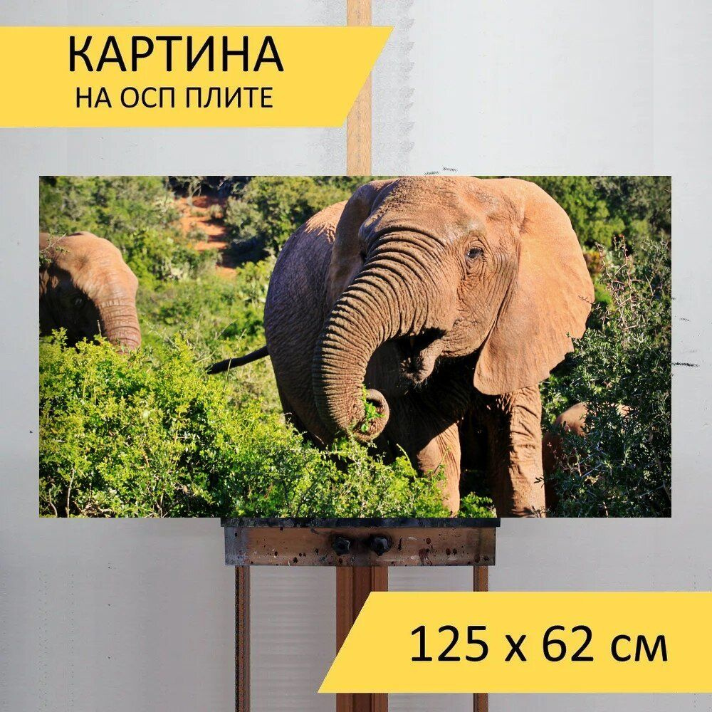 LotsPrints Картина "Слон, животное, саванновый африканский слон 32", 125 х 62 см  #1