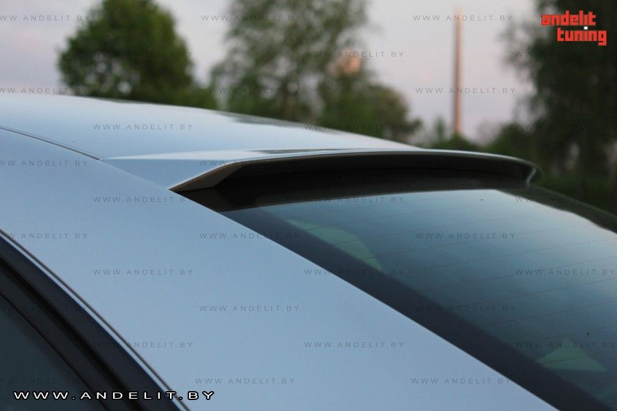 Козырек на заднее стекло для Audi A4 B7 (04-08) #1