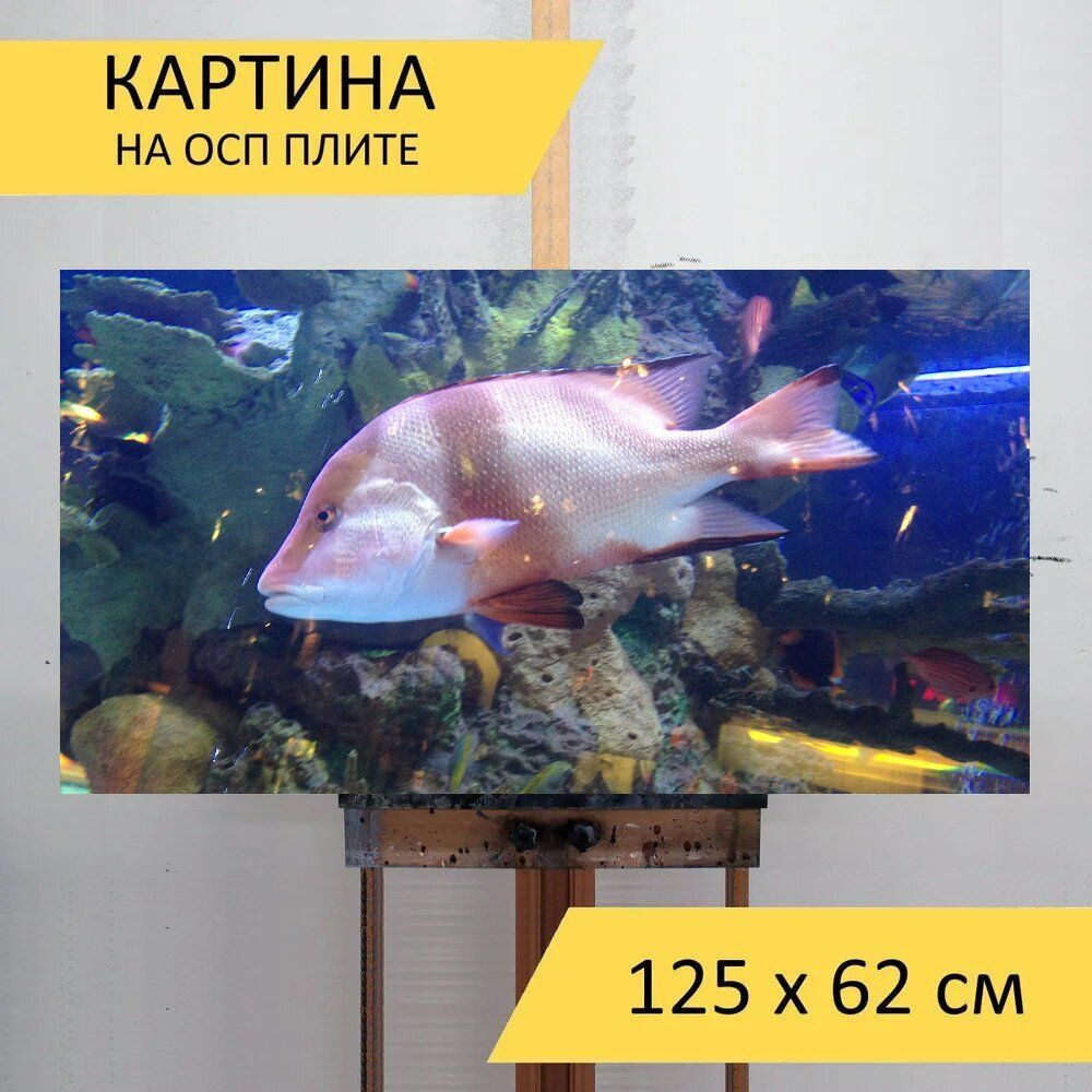 LotsPrints Картина "Рыбы, вода, аквариум 25", 125  х 62 см #1