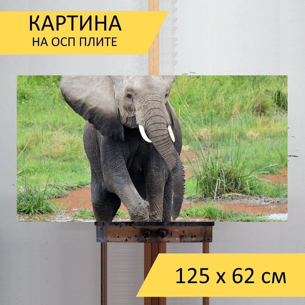 LotsPrints Картина "Слон, дикая природа, африка 52", 125  х 62 см #1