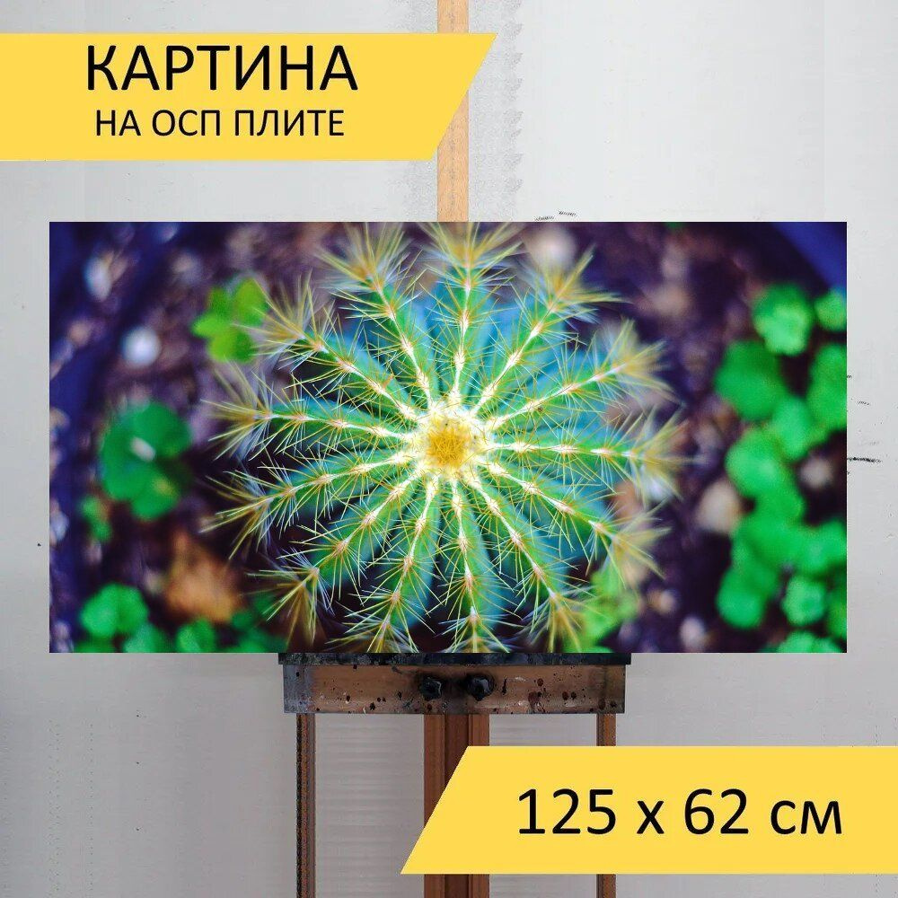 LotsPrints Картина "Кактус, зеленый, макрос 87", 125  х 62 см #1