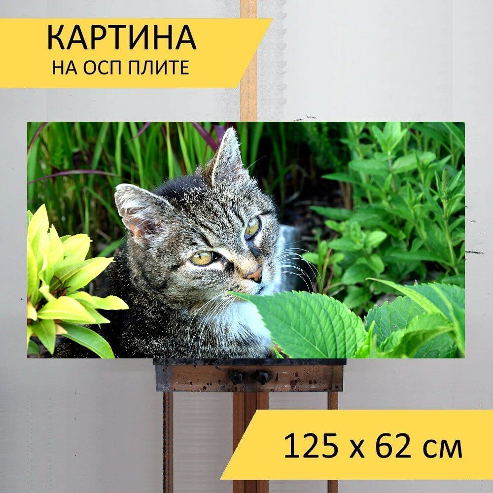 LotsPrints Картина "Кот, женский, домашняя кошка 73", 125  х 62 см #1