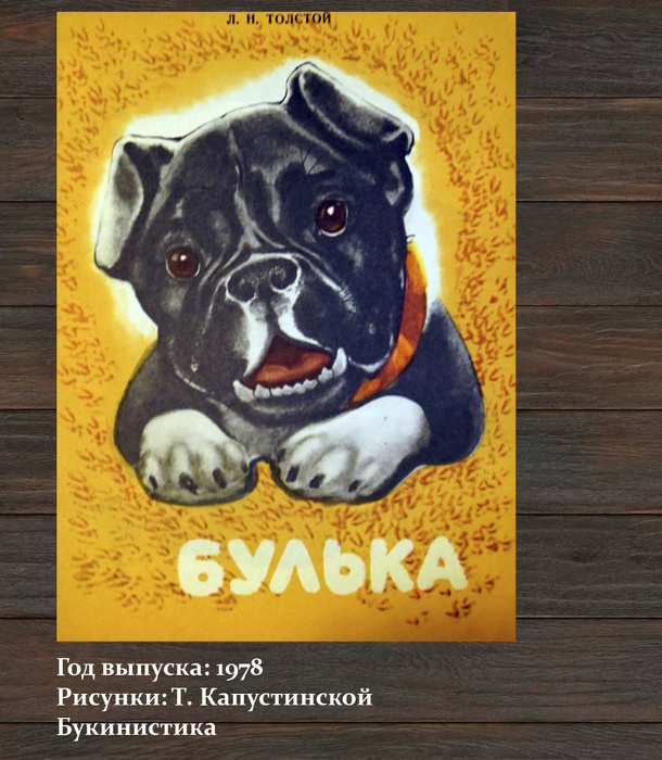 Булька лев николаевич толстой книга. Произведение л н толстого булька. Булька толстой иллюстрации. Рассказ булька читать. Лев толстой булька.