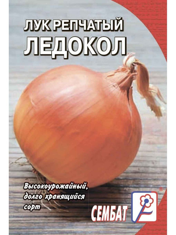 Лук севок ледокол. Лук репчатый ледокол. Ледокол лук озимый. Лук севок ледокол. Лук севок ледокол.
