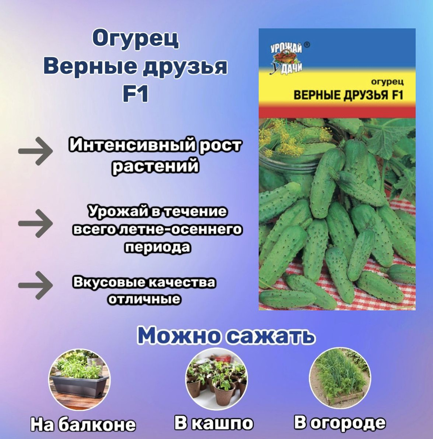 Огурец верные друзья фото. Огурец верные друзья.