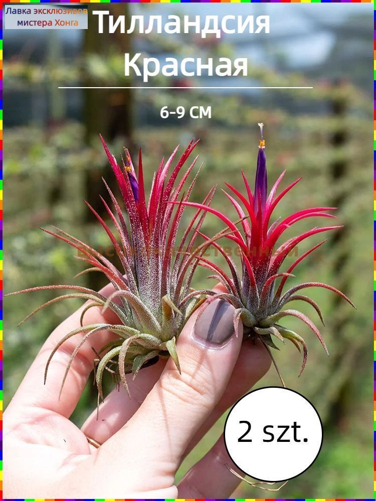 Искусственныецветы,2шт