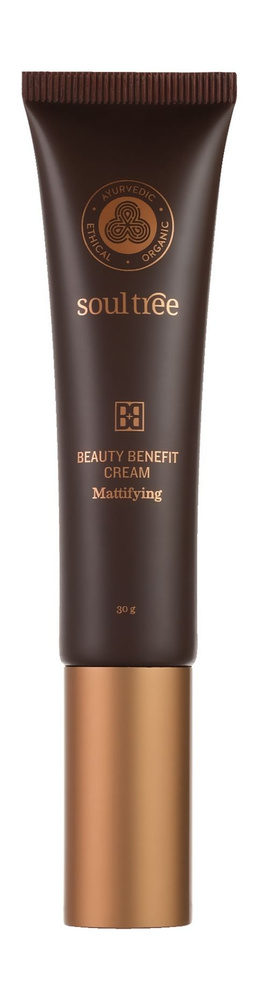 Матирующий BB-крем для лица / В33 Медовый / SoulTree Mattifying Beauty Benefit Cream  #1