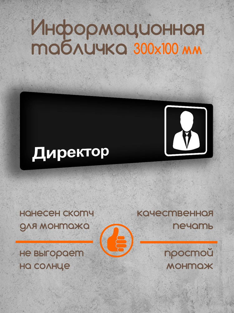 Табличка на дверь информационная "Директор" черная основа 300х100х2 мм  #1