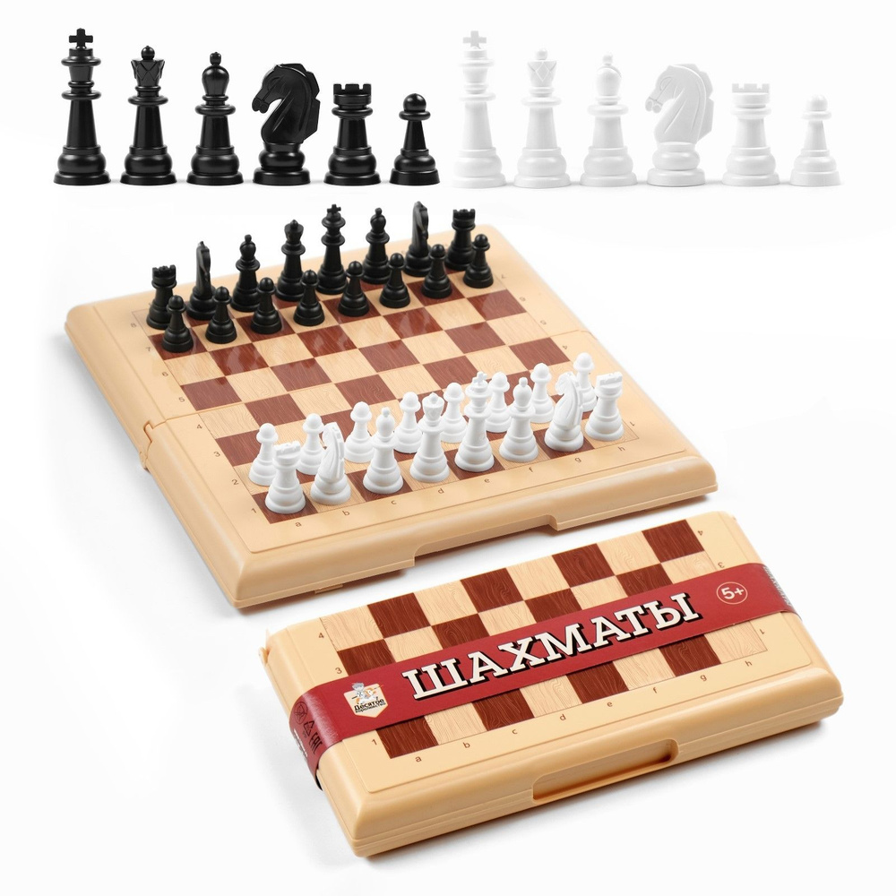Шахматы Десятое Королевство 21 х 21 см, доска и фигуры пластик, король h-3.8 см, d-1.5 см  #1