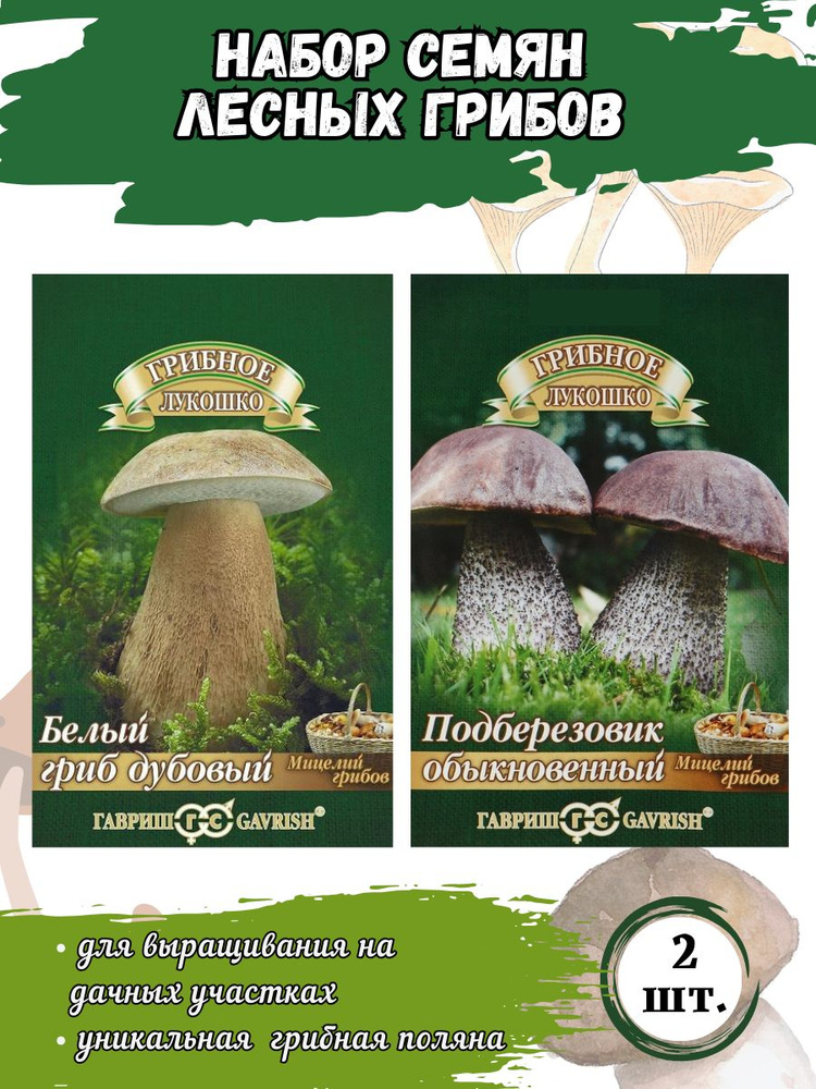 Набор семян Мицелий грибов: Белый гриб дубовый, Подберезовик обыкновенный Набор: 2 пакетика  #1